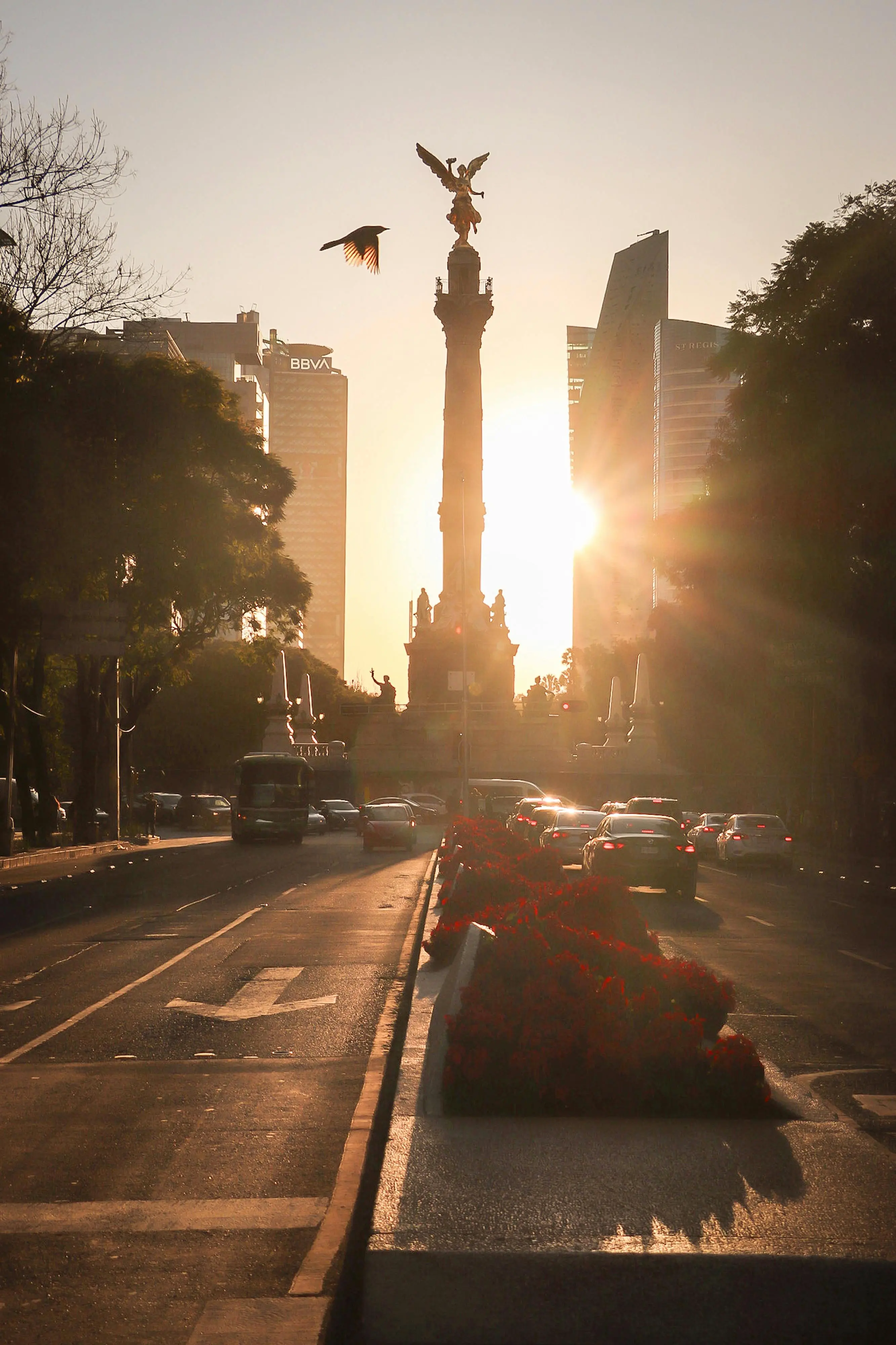 Mexico City Monthly Rentals: How to Find the Right Place for a Longer Stay
