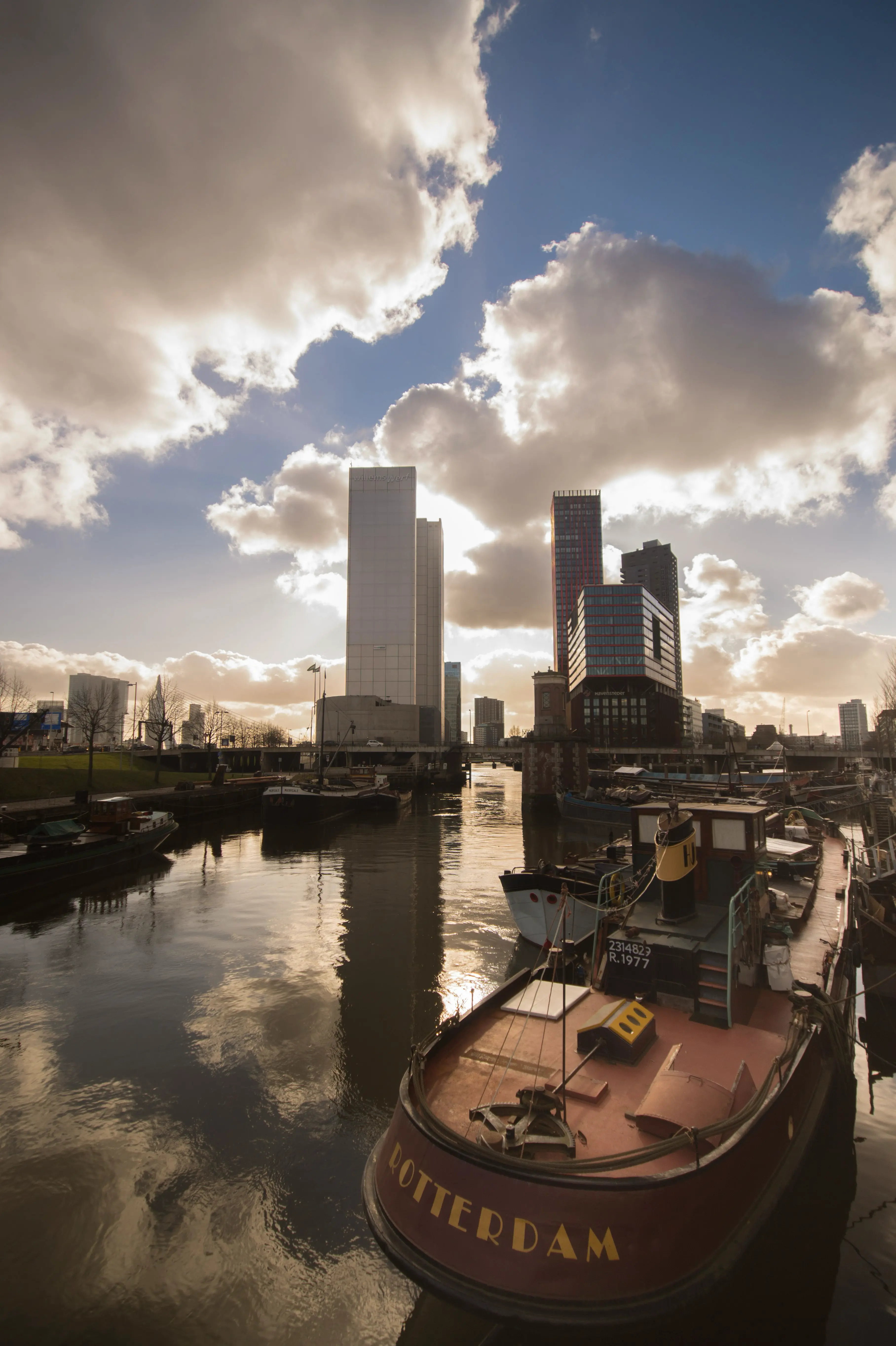 Finding Long Term Rentals in Rotterdam: A Practical Guide for Remote Workers