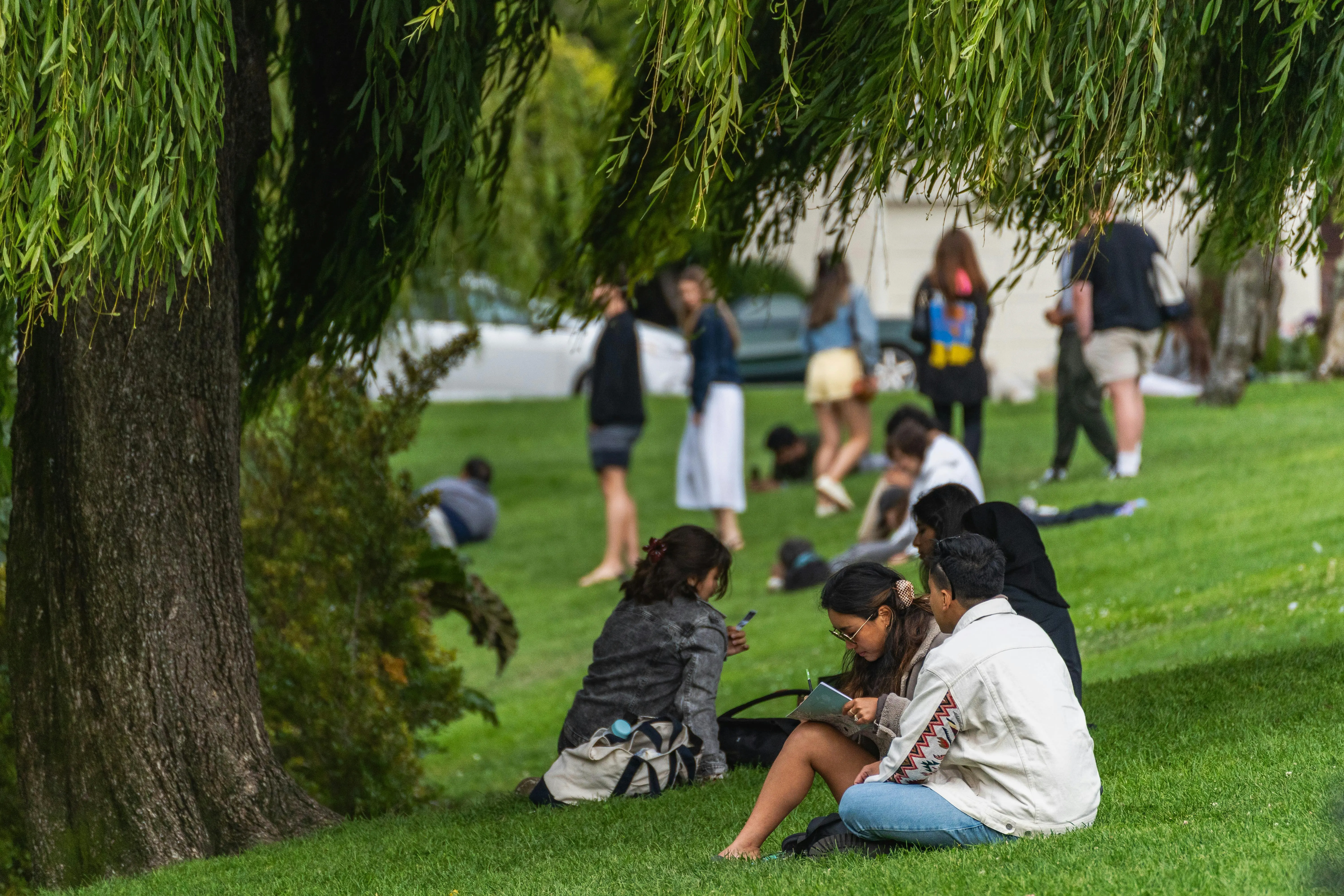 Moving to Auckland: The Complete Guide for Remote Workers and Expats