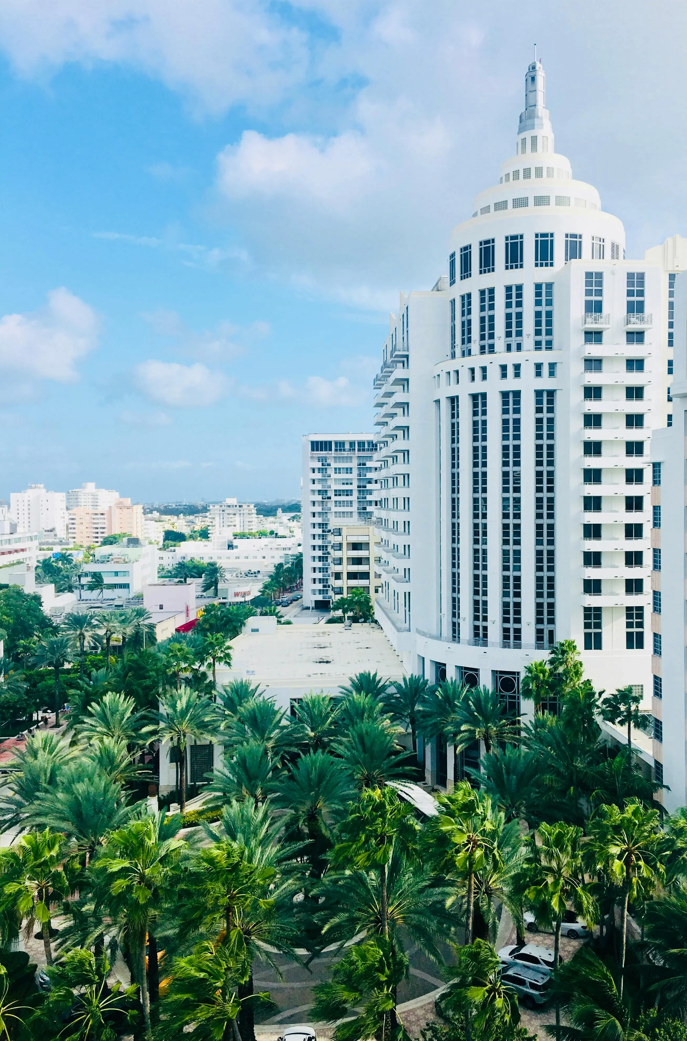 Miami MiMo: A Guide to the Miami Modern Historic District on Biscayne Boulevard