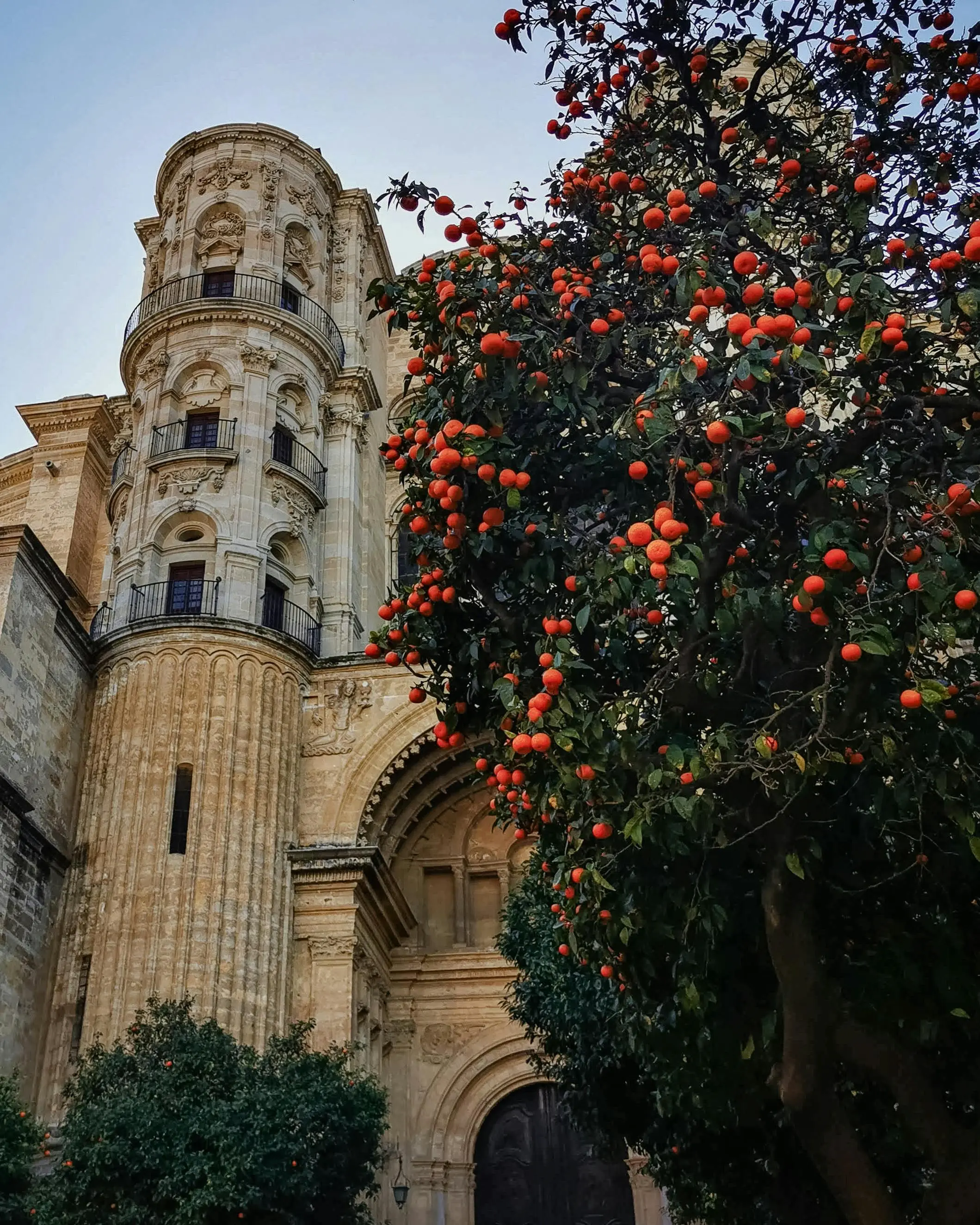 Malaga Centro Historico: Exploring the Cultural Heart of the Costa del Sol