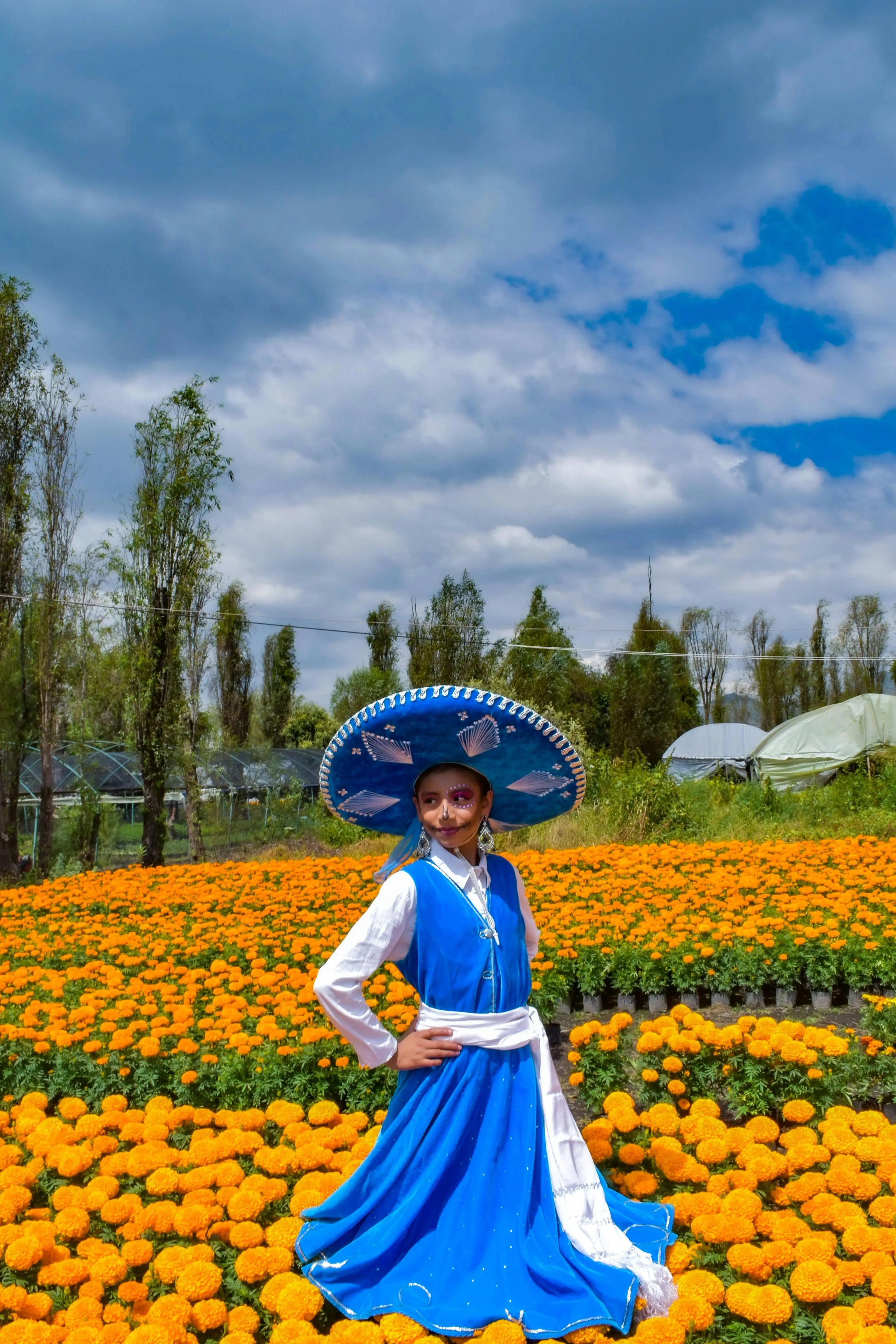 Mexico City Cool Things to Do: A Local-First Guide to Culture, Food, and Everyday Life