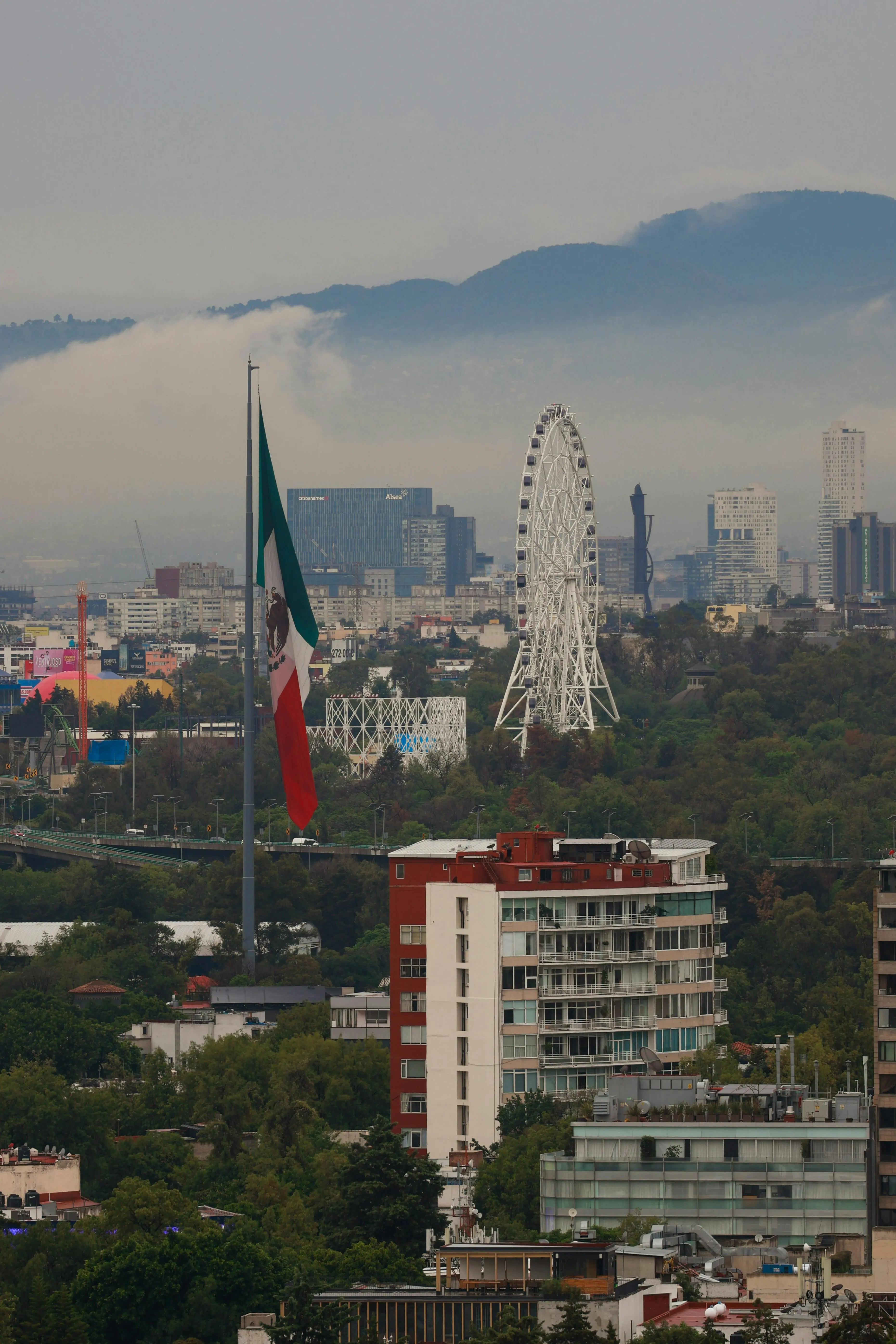 Anzures Mexico City: A Local Guide to This Quiet, Central Neighborhood