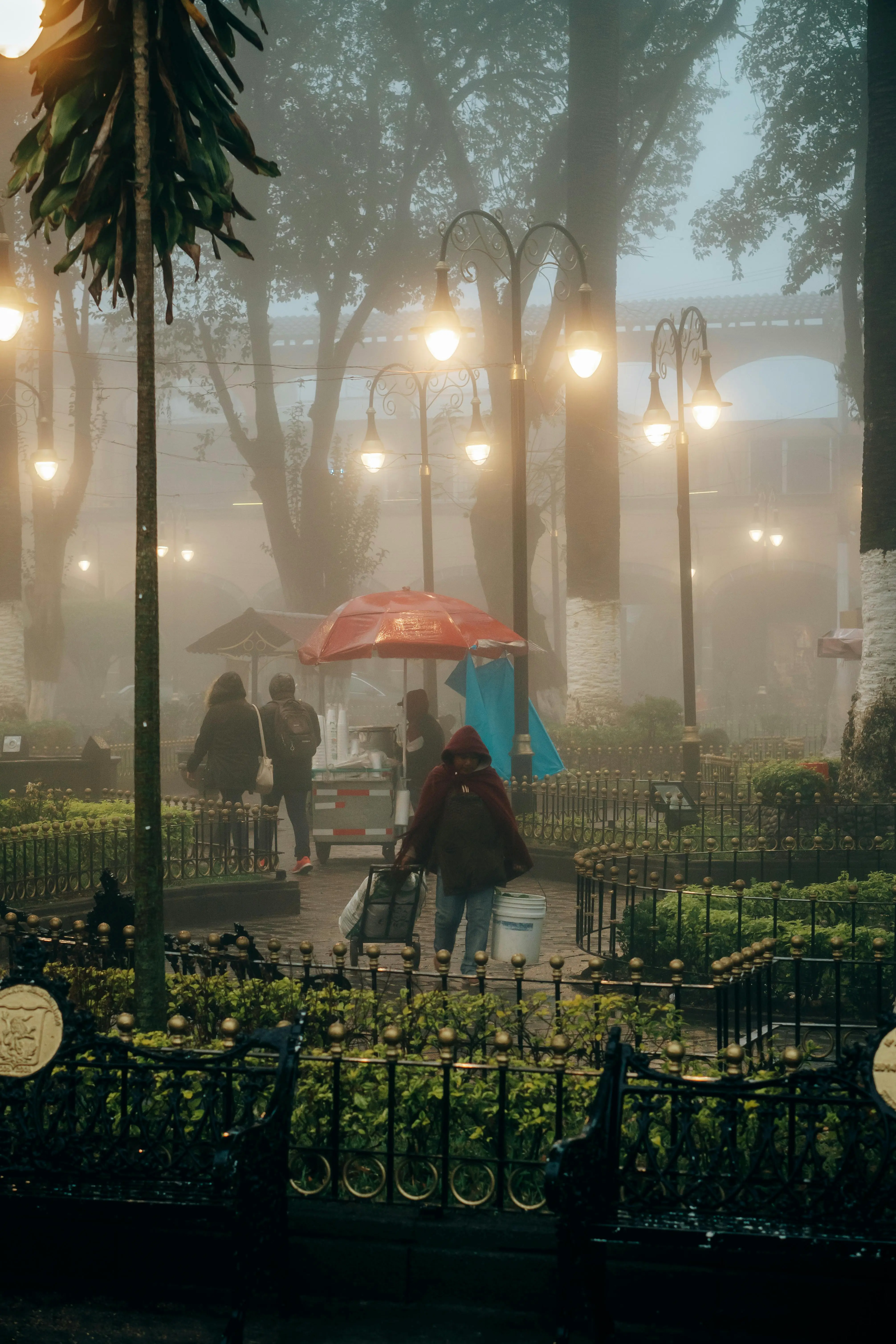 Colonia Napoles Mexico City: The Remote Worker's Guide to Living Here