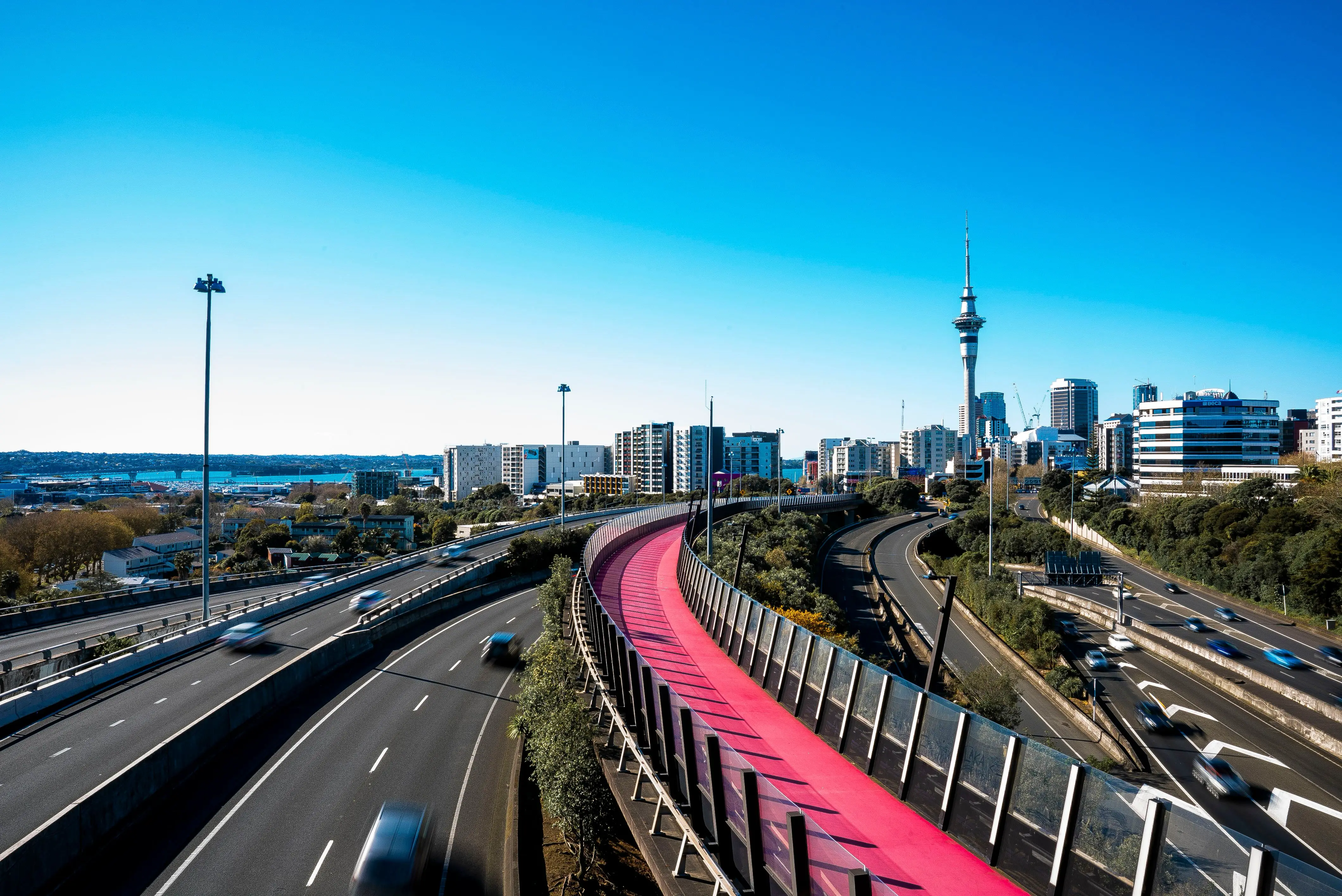 Freemans Bay Auckland: The Remote Worker's Guide to Living in Auckland's Most Walkable Inner Suburb
