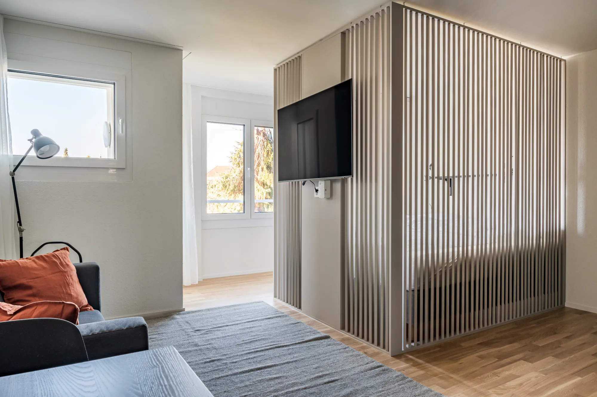 Luxurious Compact Studio For Remote Work In Central Basel #2