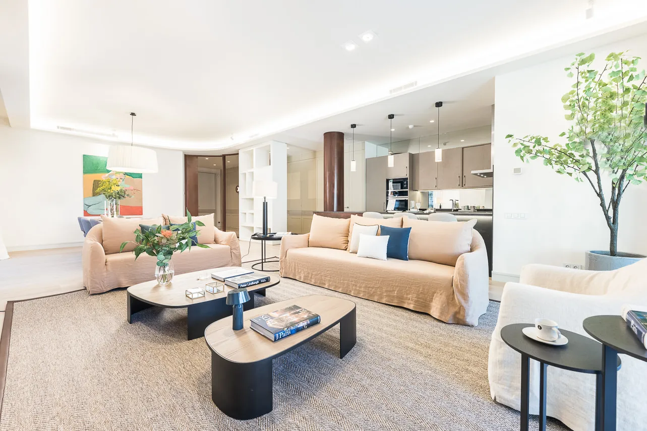 Luxury Sky Home With Dedicated Home Office In Madrid's Central District #4